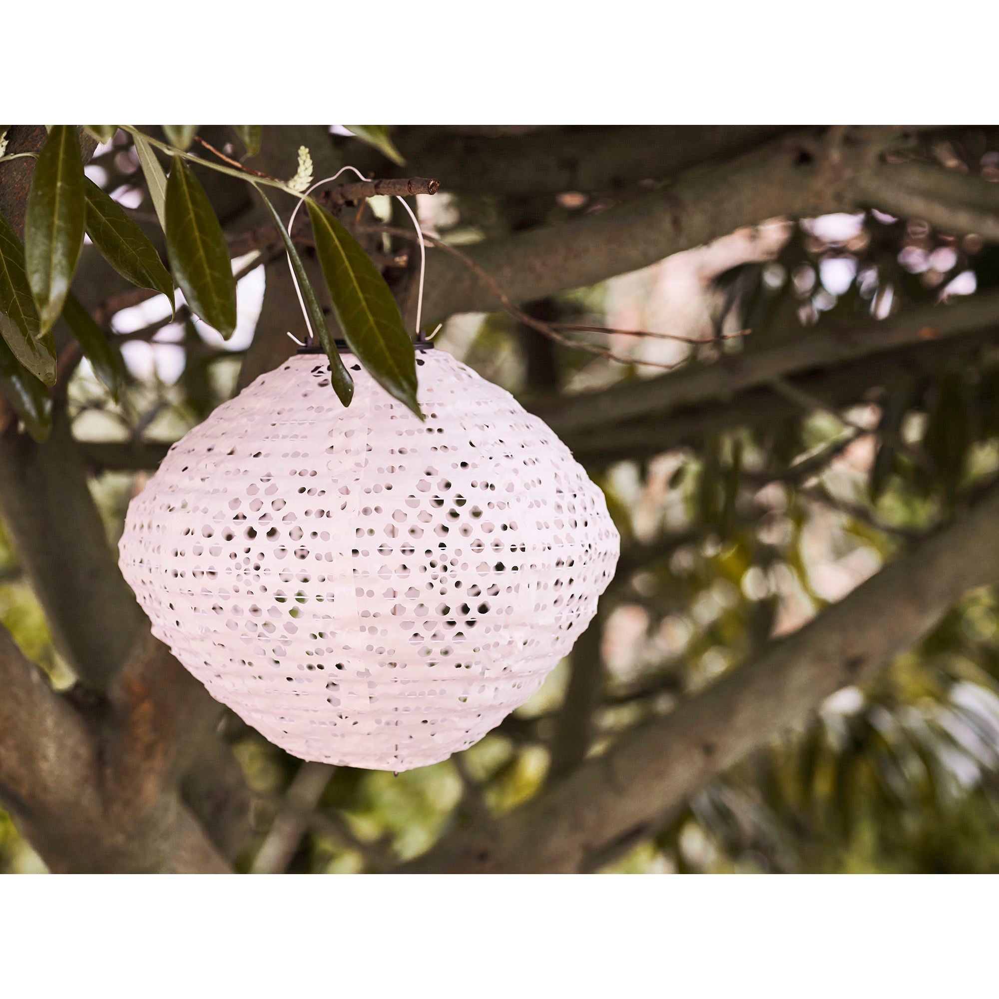 Harwood LED Lanterne