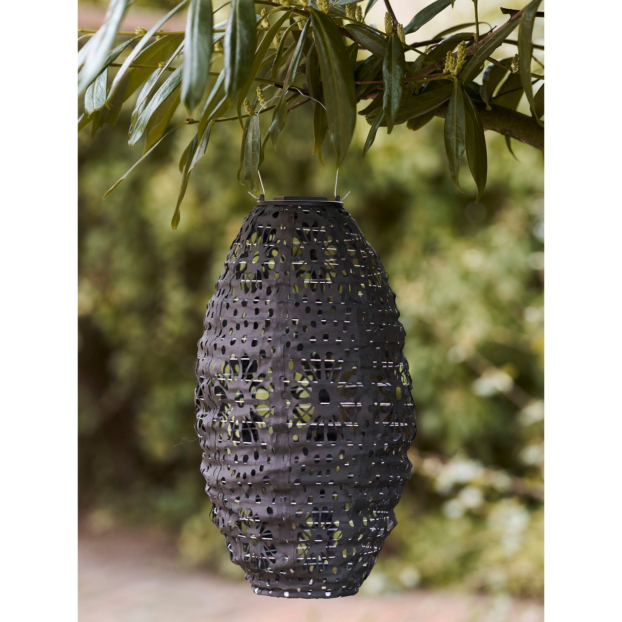 Foxdale LED Lanterne