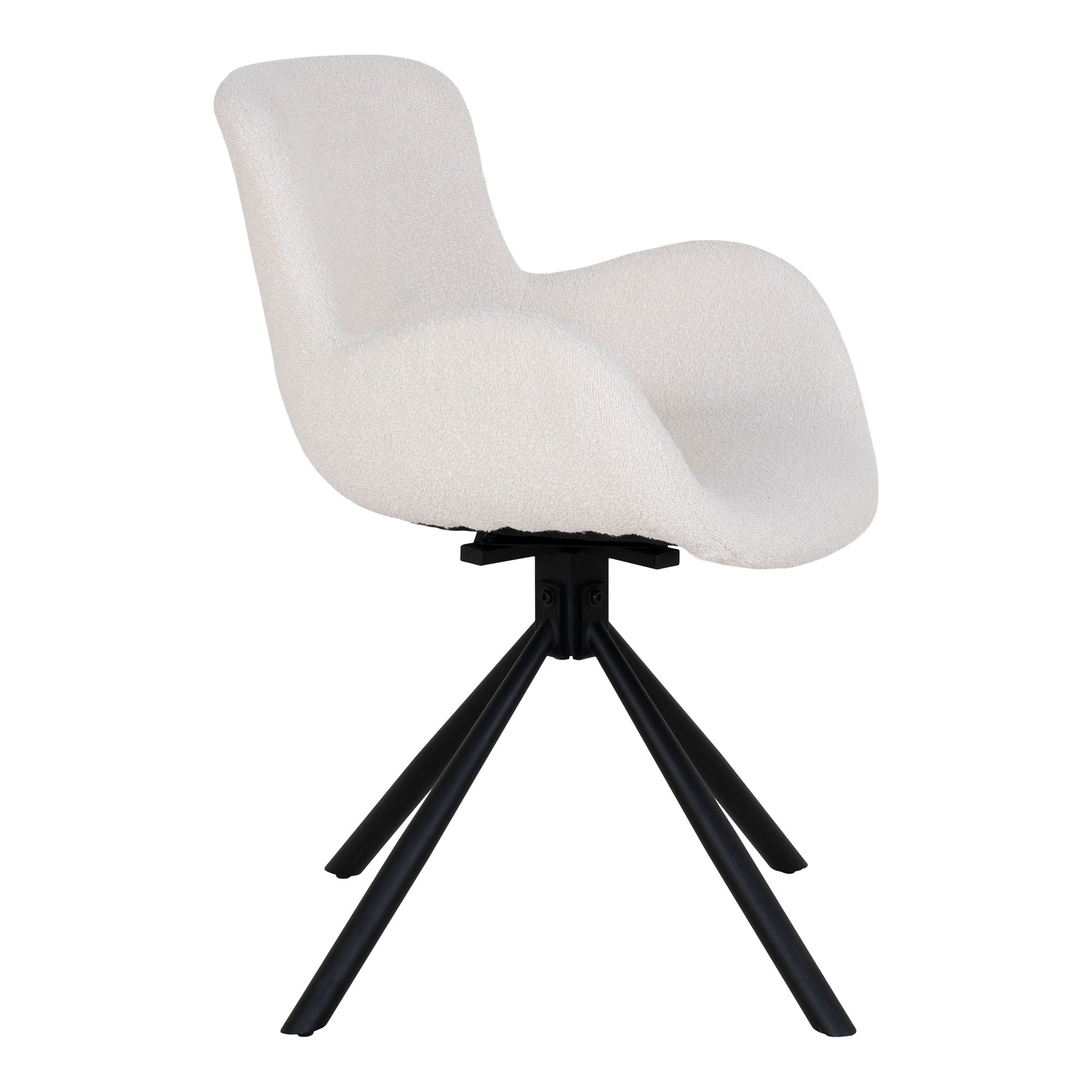 Amorim Dining Chair - Casaneu