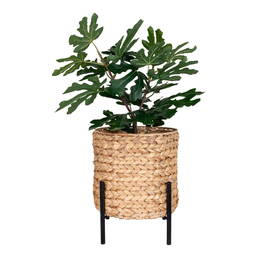 Antas Planteskjuler - Casaneu
