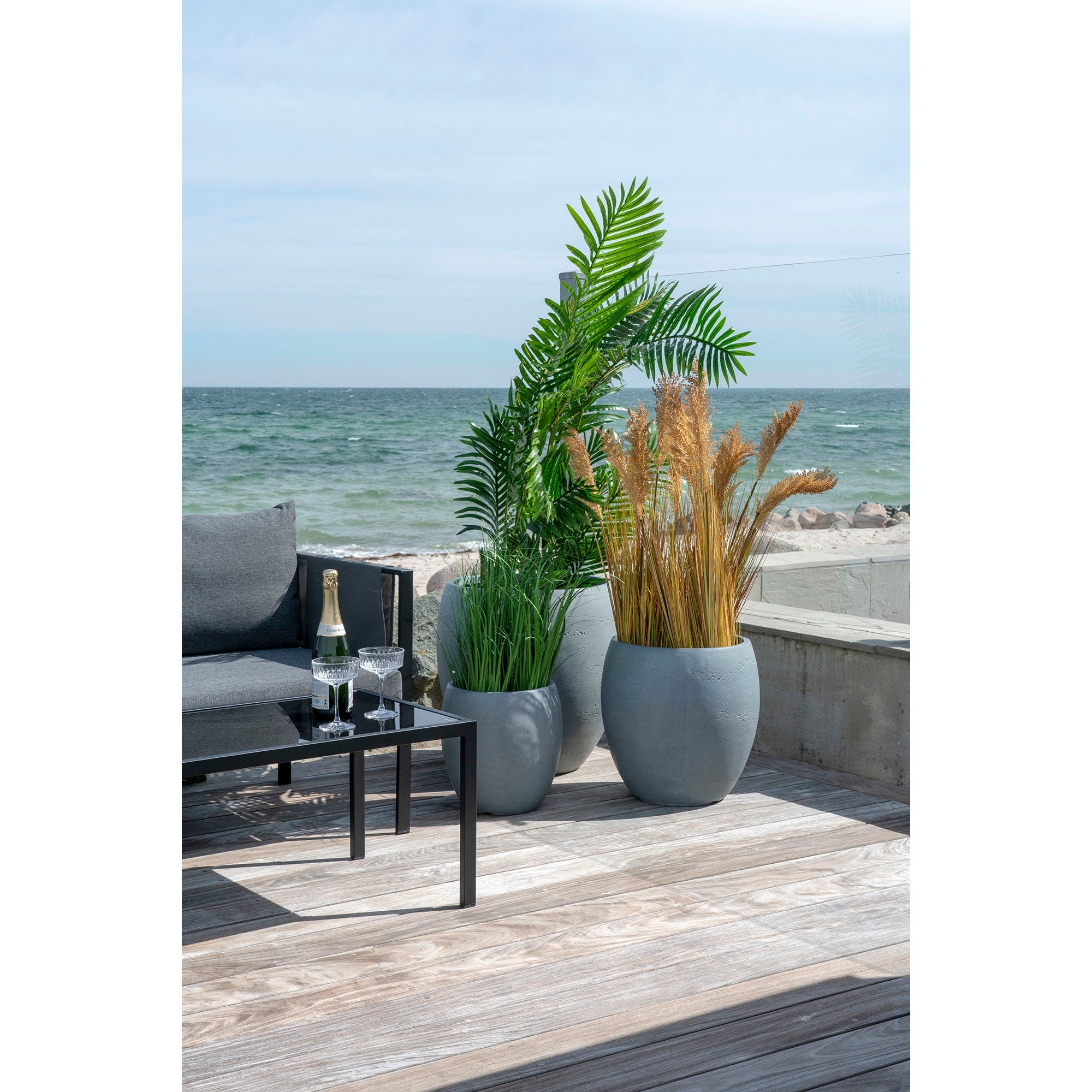 Areca Palme - Casaneu