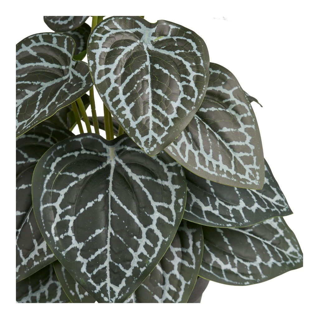 Artificial Plant - Casaneu