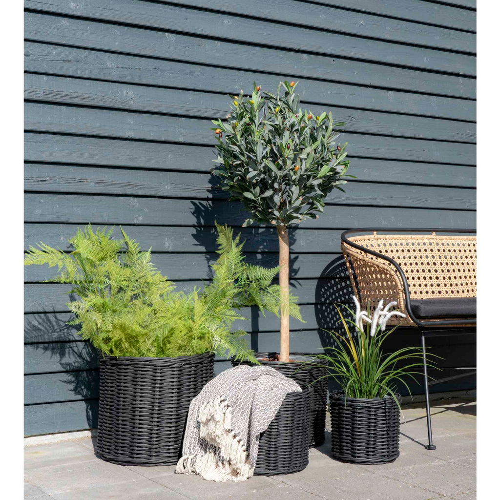 Cort Plaid - Casaneu