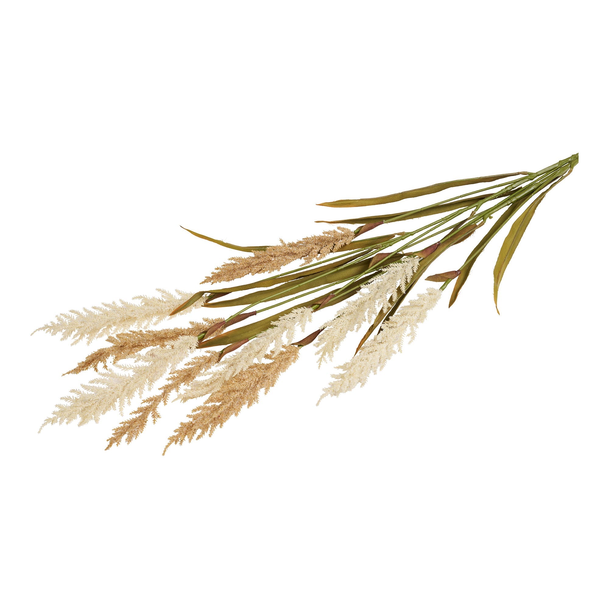 Decorative Grass - Casaneu