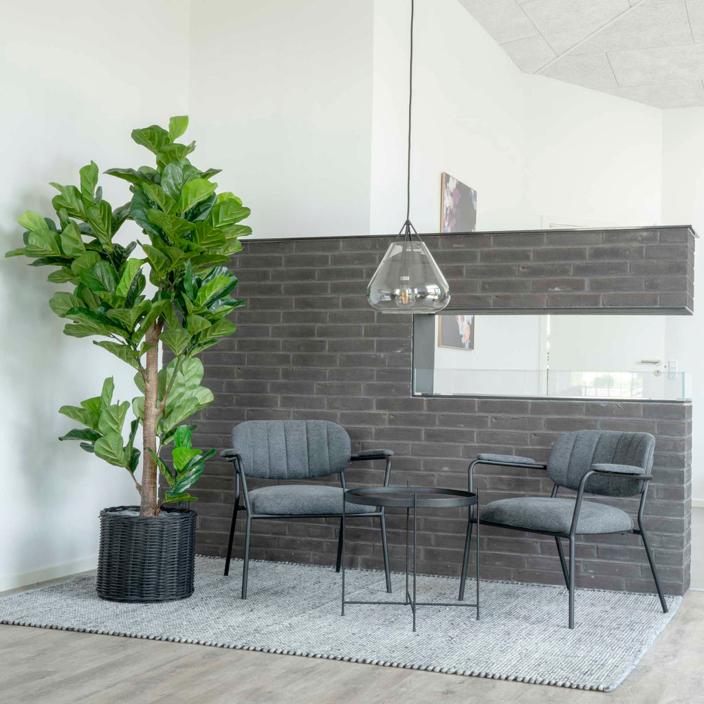 Fiddle Leaf Tree - Casaneu