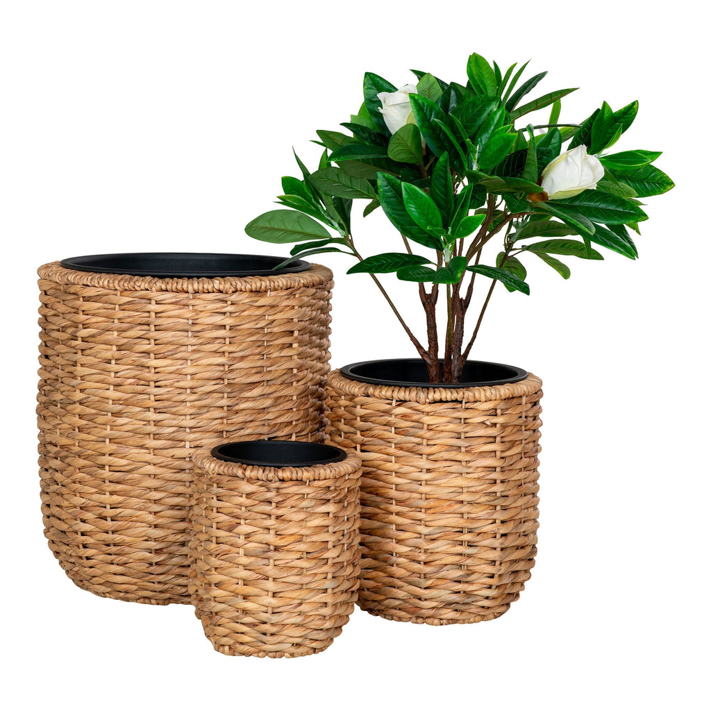 Hanoi Planteskjuler - Casaneu