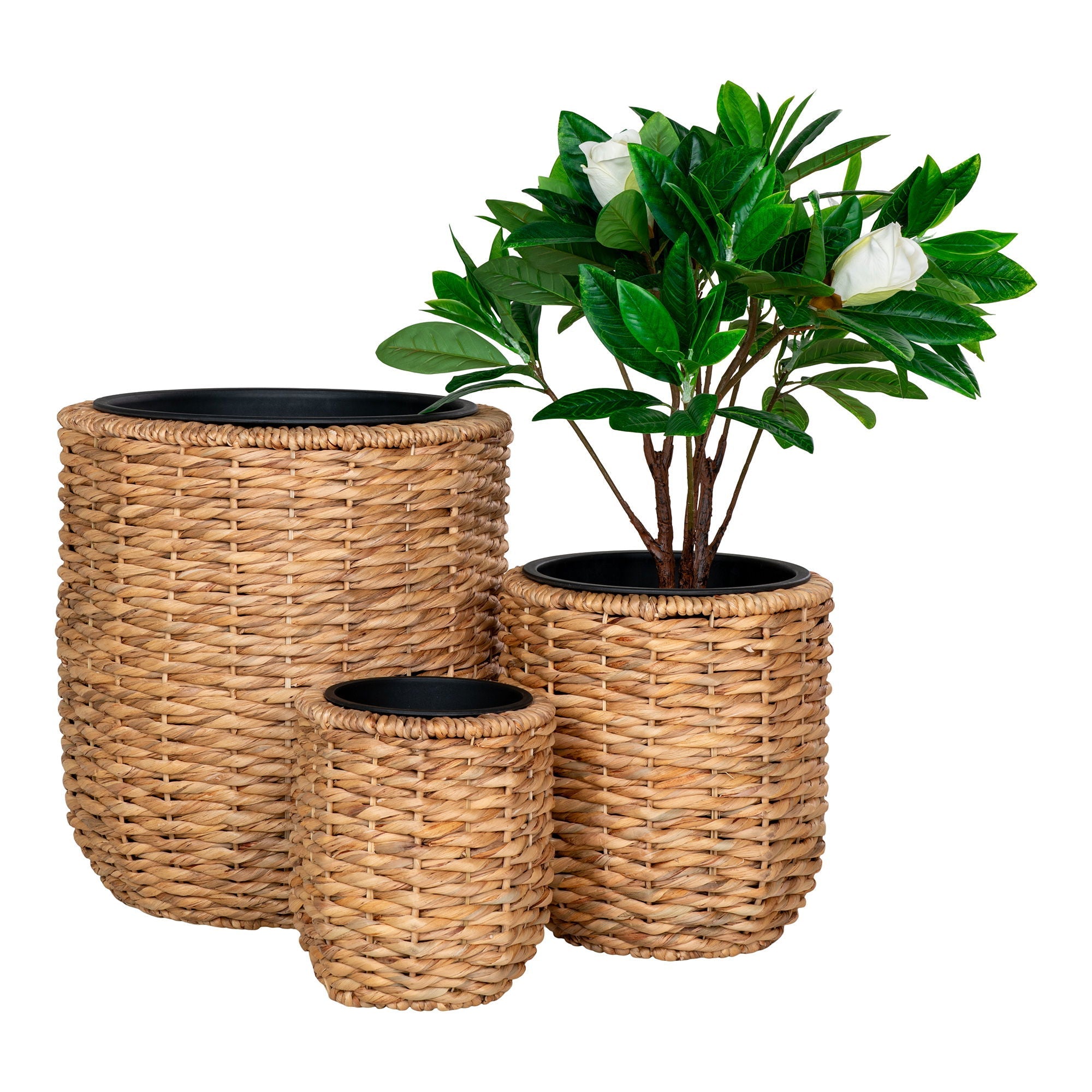 Hanoi Planteskjuler - Casaneu