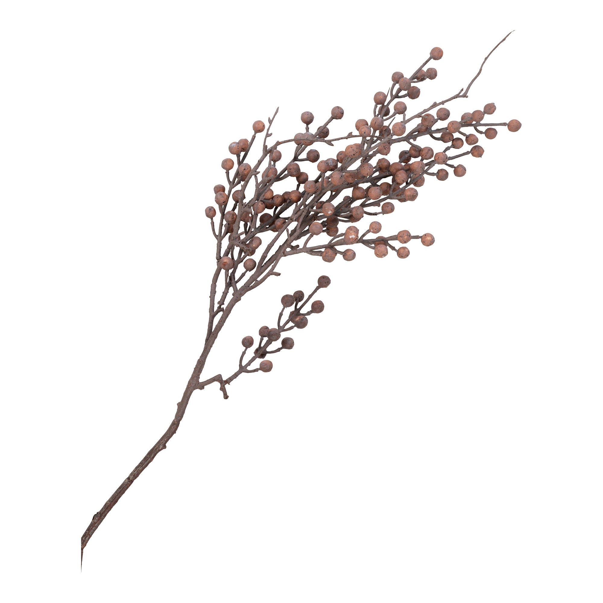 King Protea Bouquet - Casaneu