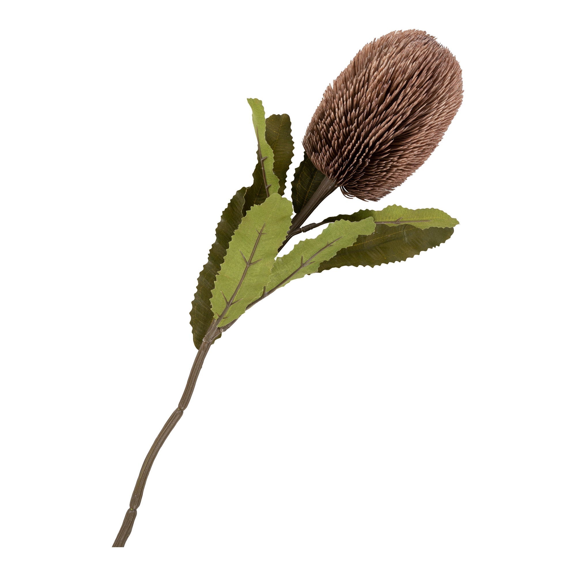 King Protea Bouquet - Casaneu