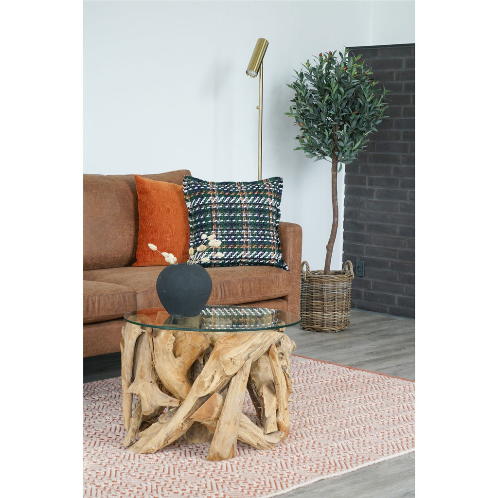 Olive Tree - Casaneu