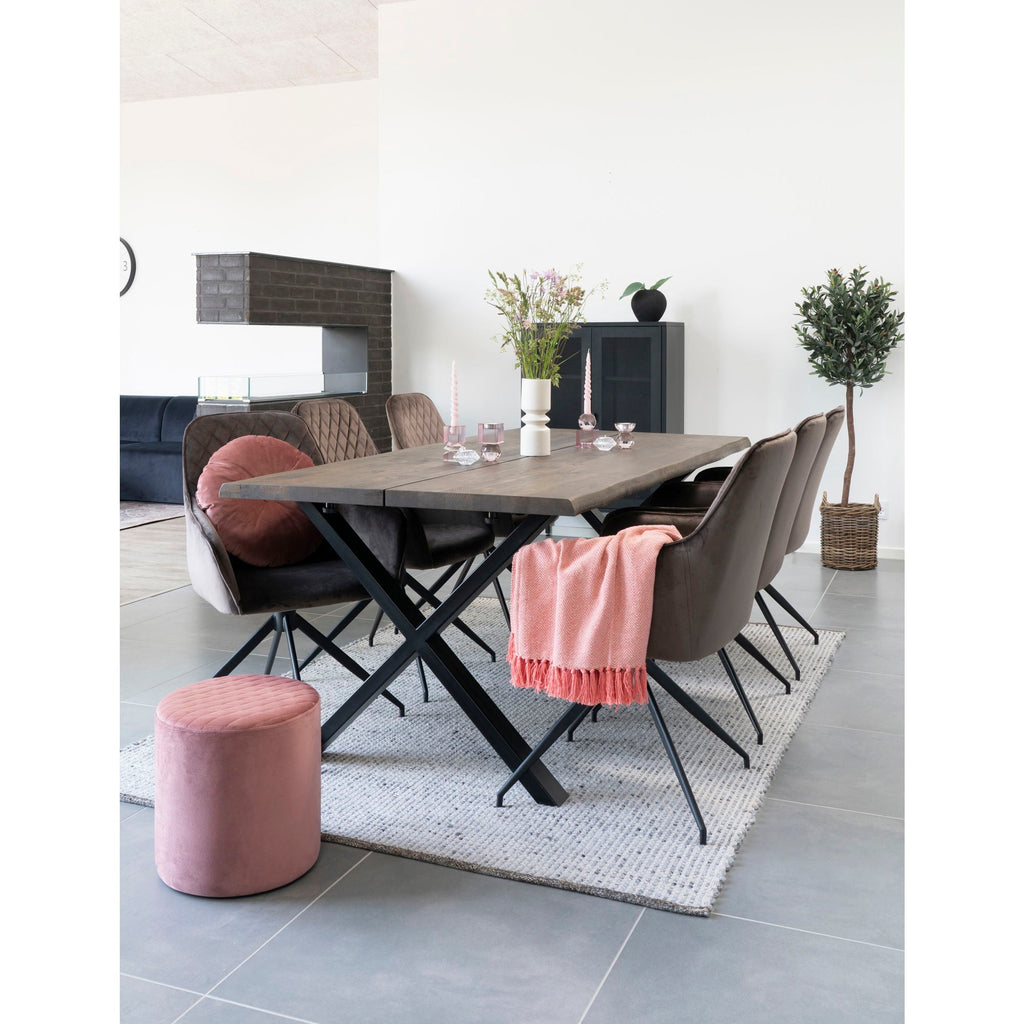 Olive Tree - Casaneu