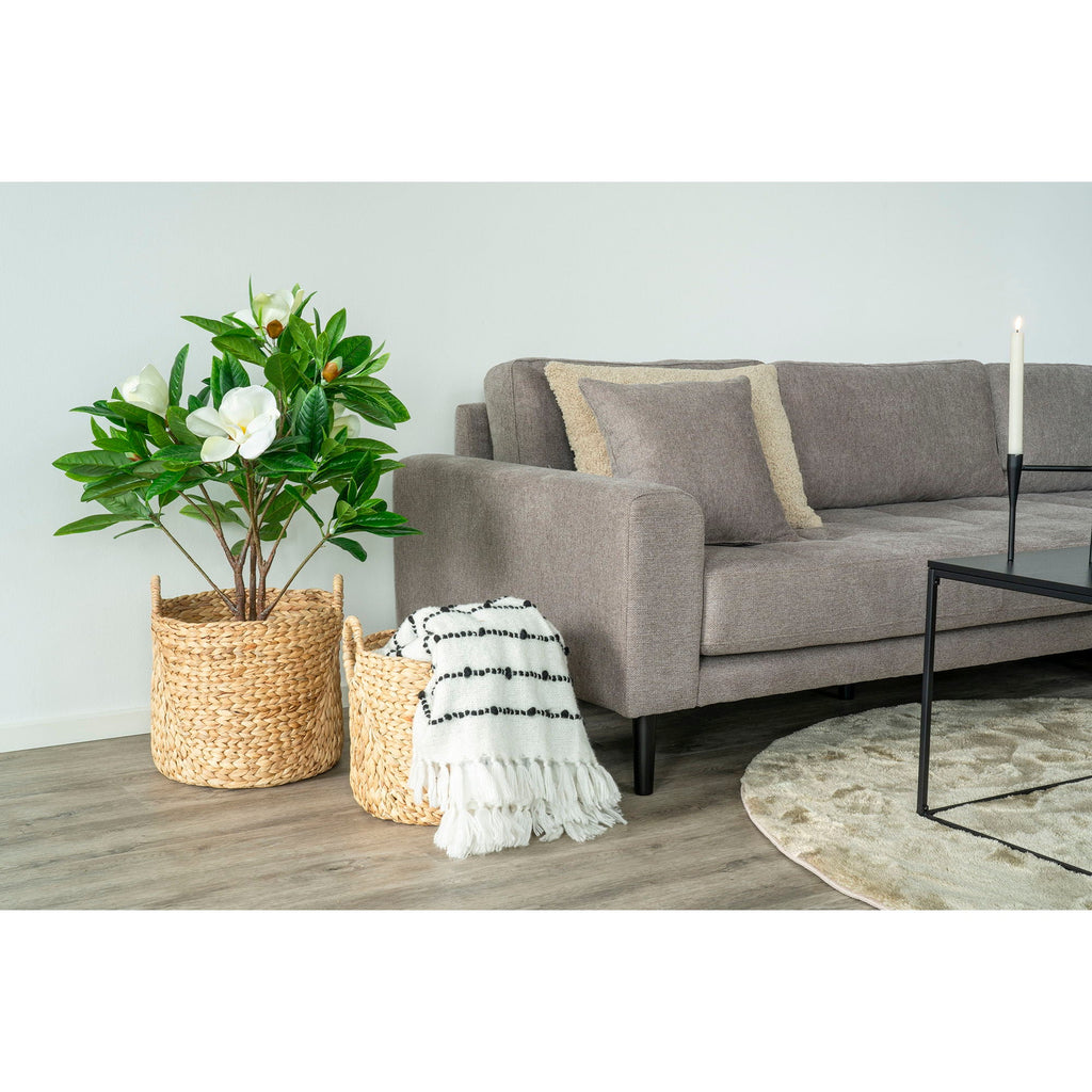 Passo Basket - Casaneu